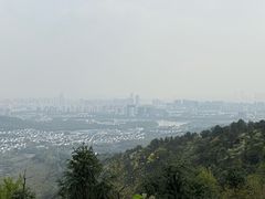 -旺山景区
