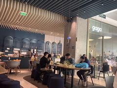 -gaga(金光华店)