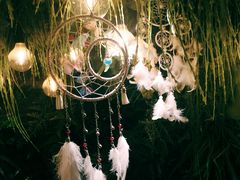 -藦茜花园宠物主题亲子互动体验馆(国顺东路店)