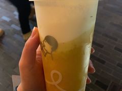 芝芝芒芒-喜茶(迪士尼小镇DP店)