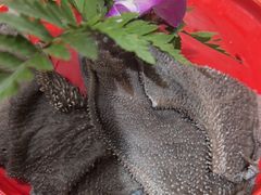 -草原塞蛮羊火锅城(港湾店)