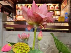 -寻宝记绍兴菜(鲁迅路店)