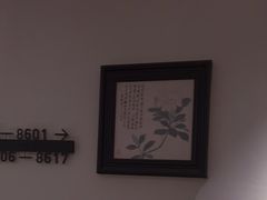 -万泊酒店(长沙五一广场国金中心店)