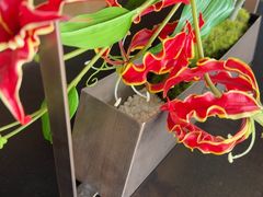 -RIVIERA 松鹤楼(外滩店)