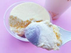 -喜茶(迪士尼小镇DP店)