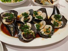 豆豉清蒸鲜带子-玫瑰厅上海菜(兴国路店)