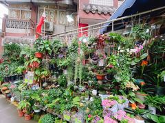 -青石桥花鸟鱼虫市场(叠翠城店)