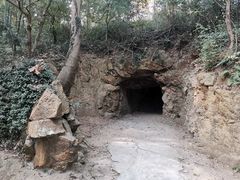 -上海佘山国家森林公园天马山园