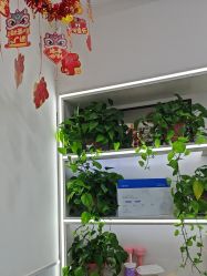 -蕾特恩专业祛痘·皮肤管理