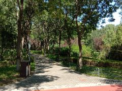 -大兴滨河森林公园