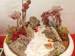 -龙大花卉苗木市场