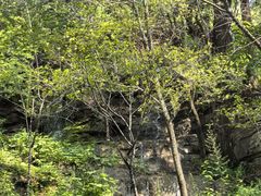 -井塘古村