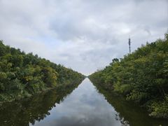 -黄海国家森林公园