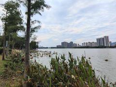 -飞来湖湿地公园