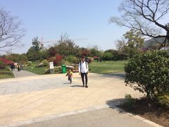 -桃花岛景观公园