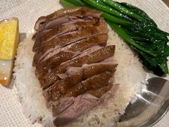 卤鹅饭-荣家黄鱼面(前滩太古里店)