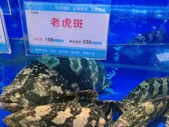 -榕港名轩(天禧店)