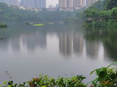 -重庆彩云湖湿地公园