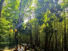 -灵岩山风景区