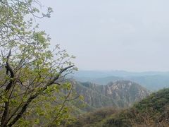 -大岭沟猕猴桃谷风景区