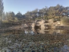 -古塔公园