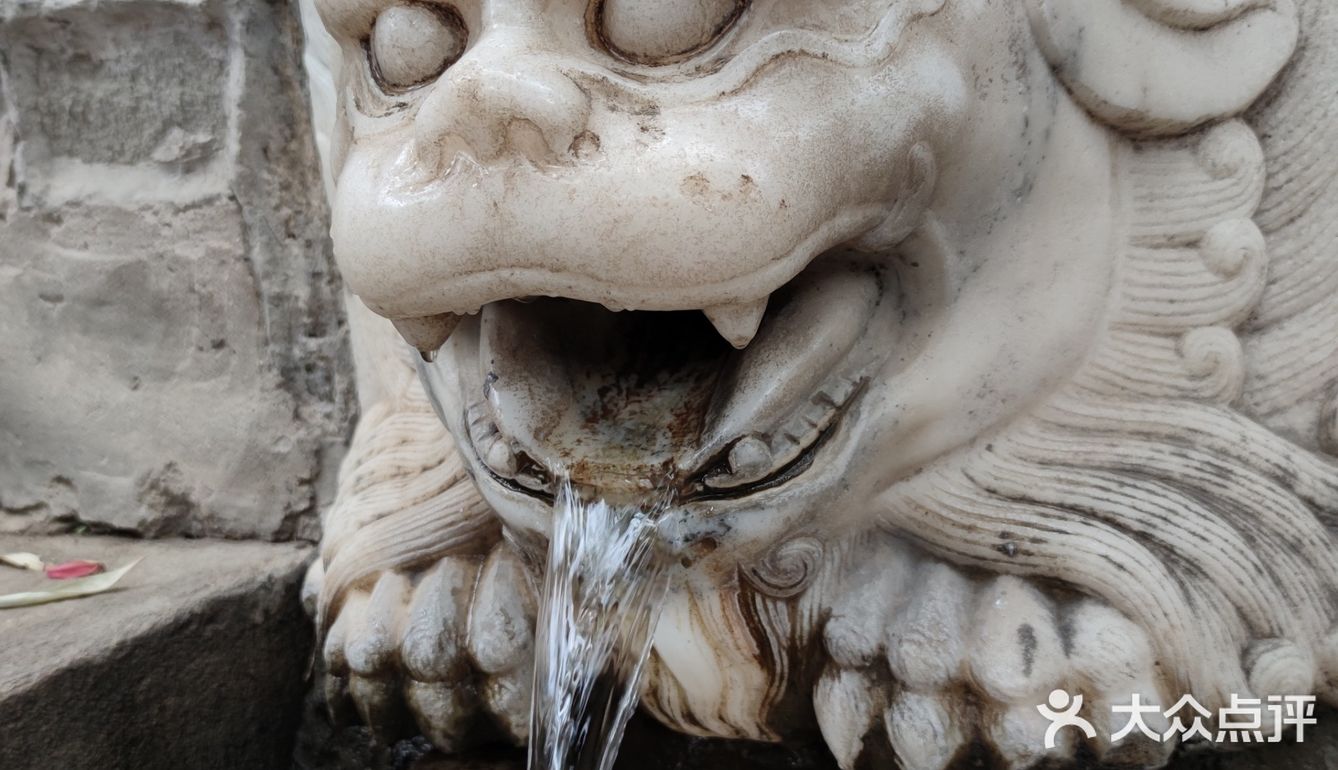 60岁以上的叔叔阿姨免票，我是在大众点评上预约的