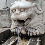 60岁以上的叔叔阿姨免票，我是在大众点评上预约的