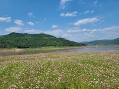 -木洞河街