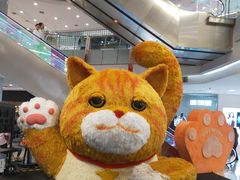 -凯德广场(学府店)