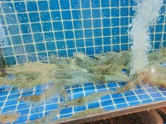 -碧海银沙海鲜餐厅(恒大海上威尼斯店)