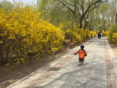 -南翠屏公园