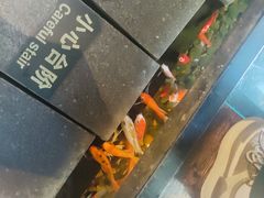 -颐和•海鲜砂锅粥•啫啫煲(奥林匹克广场店)