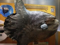 -青岛海底世界-水族馆