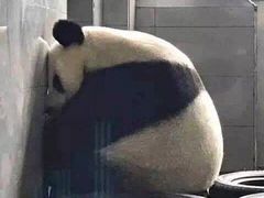 -京玉菲饭店(李村店)