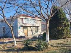 -南开大学滨海学院