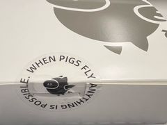 -WHEN PIGS FLY当猪飞