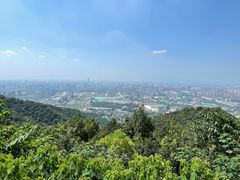 -杭州半山国家森林公园