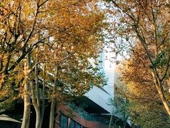 -西安电影制片厂