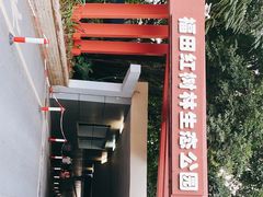 -福田红树林生态公园