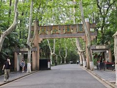 -灵谷景区