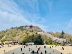 -牛首山文化旅游区