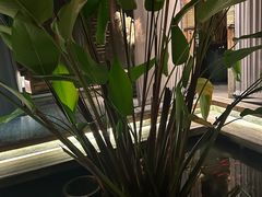 -都氏家DUSJOY(翡翠城店)