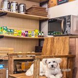中山又开了新店|必应咖喱
