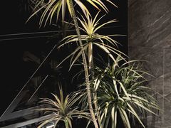 -华夏良子·足道·SPA·艾灸(金皇大厦店)