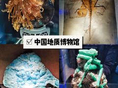 -中国国家博物馆