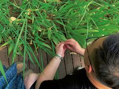 -河南省黄河迎宾馆