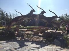 -武清南湖绿博园