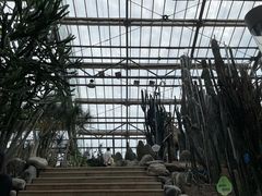 -南山植物园