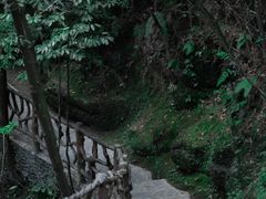 -梭布垭石林景区