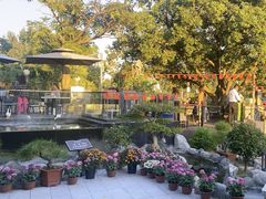 -蘇河湾·新鲁菜·泰山宴(泰山店)